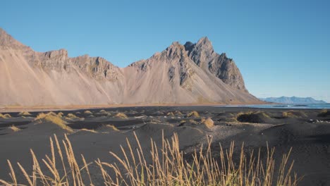 Grass-stalks-turf-on-black-sand-beach-below-Vestrahorn-mountain-peak