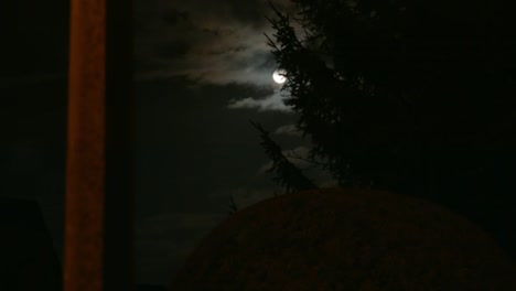 shining full moon behind pine trees with clouds in berlin, germany