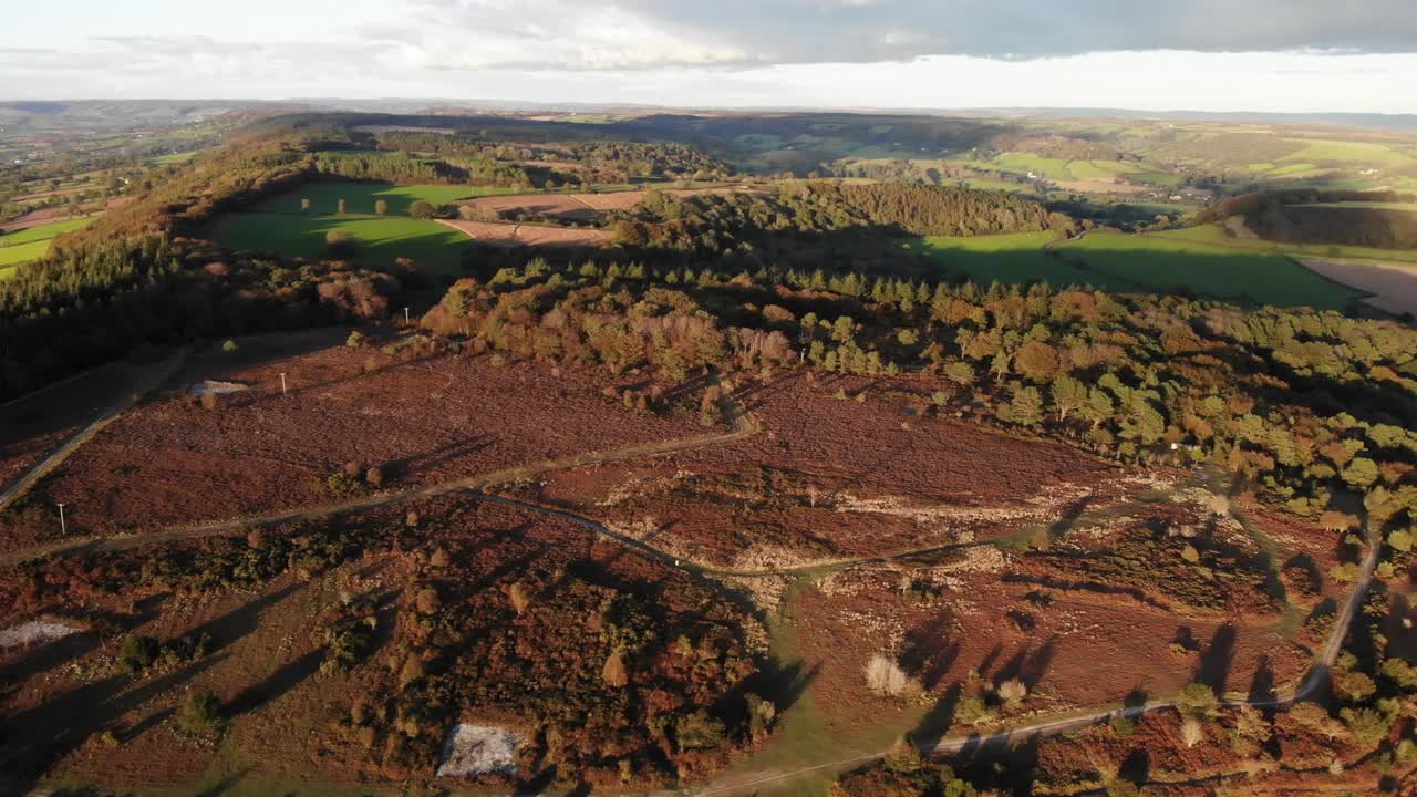 Landschaftsaufnahme aus der Luft eines abgeholzten Gebiets in der britischen Natur.