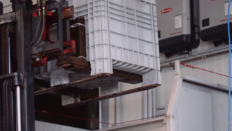 forklift tipping white wine grapes in harvest bin into crusher at cellar