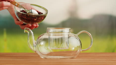 brewing hibiscus tea in a glass teapot