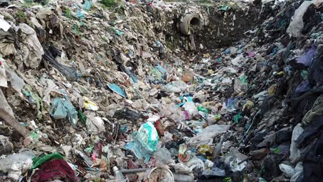 A Group in the Woods Examines a Pile of Plastic Waste Highlighting Pollution a Group Gathers in a Serene Woodland Contrasting Nature and Human Impact as they Examine Discarded Plastic Waste and Discuss Urgent Conservation
