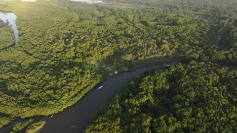 mangroves with local boats in early morning in el paredon guatemala - drone shot