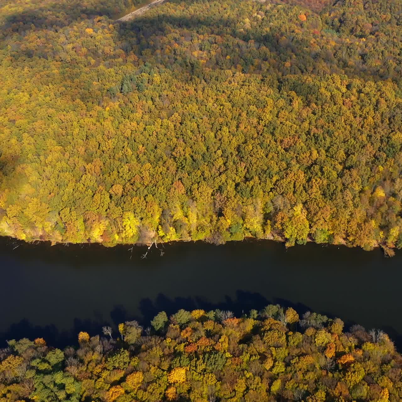 Beautiful view of the river flowing between the thick forest area. Bright diverse colors of leaves in the trees on sunny autumn day. Top view