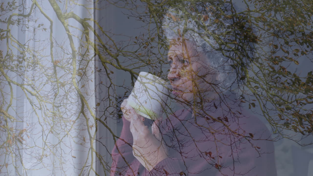 Drinking coffee, elderly person with tree branches overlay in animation scene
