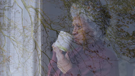 drinking coffee, elderly person with tree branches overlay in animation scene
