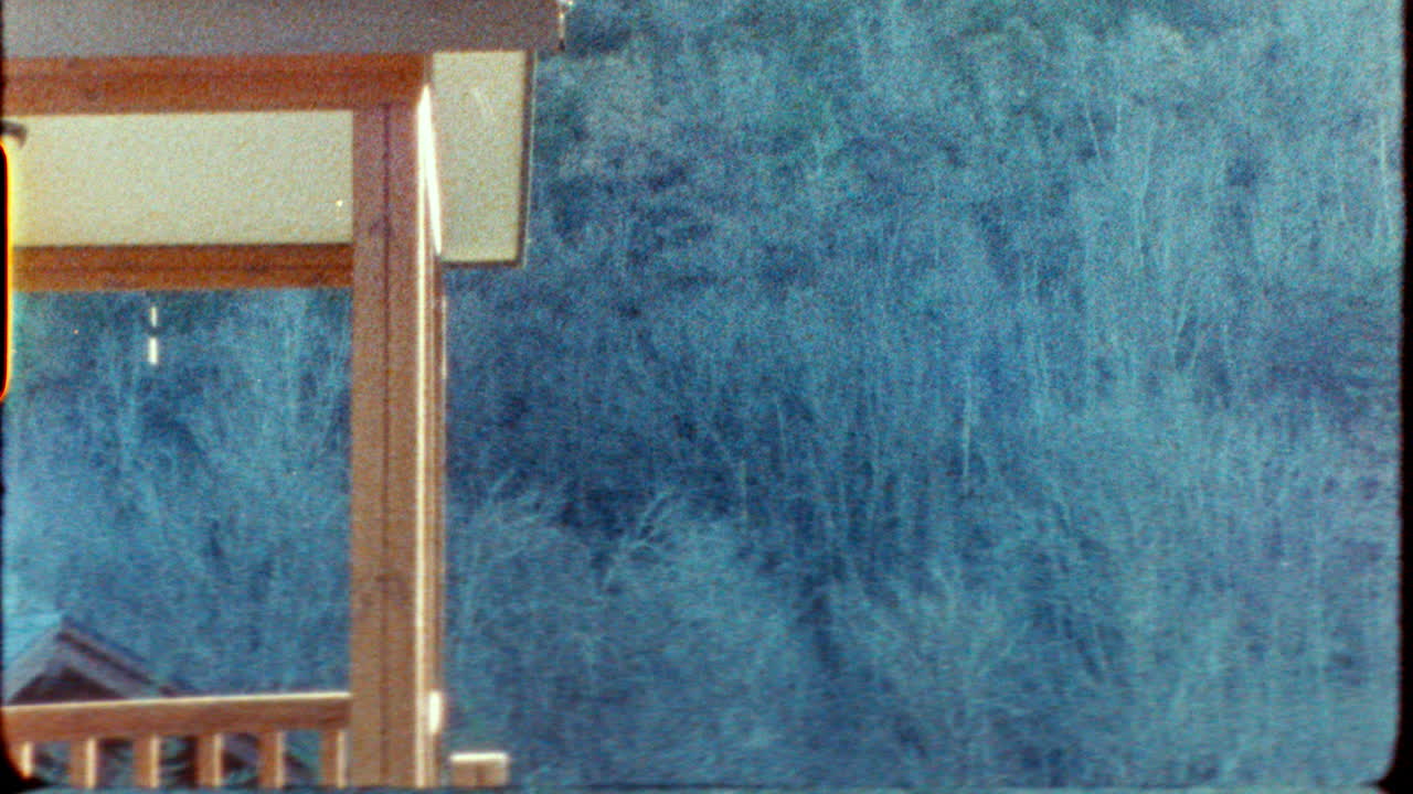 Frozen Winter Woods Scene from a Vintage Film