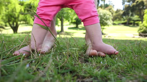 bebé caminando sobre las patas de la madre en la hierba