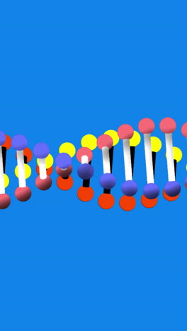 animation von dna-strängen, die sich auf blauem hintergrund drehen