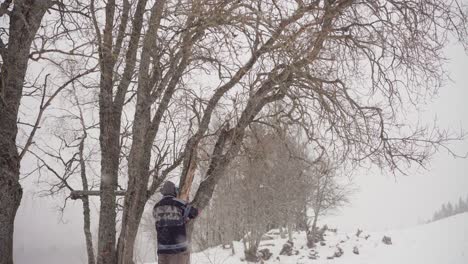 man cutting tree trunk with chainsaw in winter - wide shot