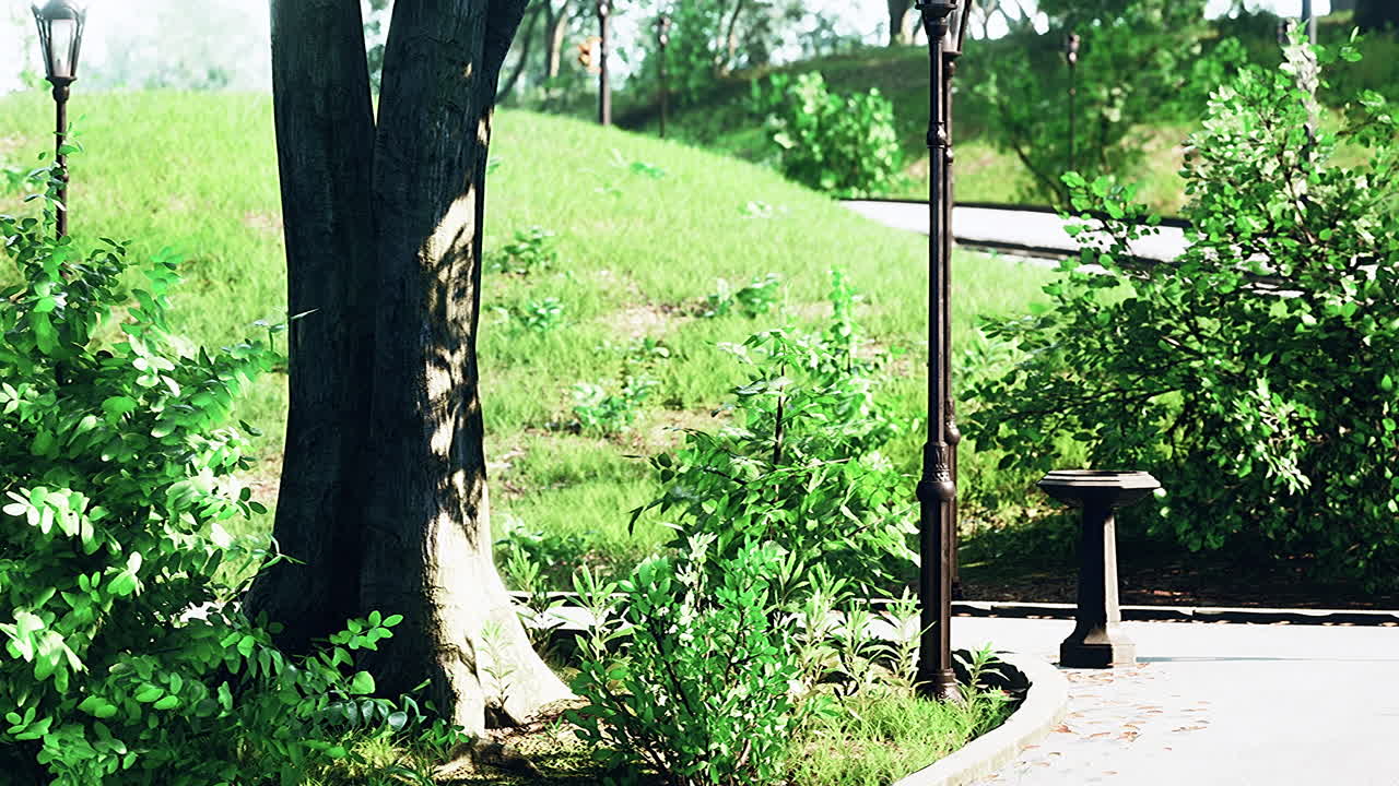 길 과 나무 가 있는 공원 장면