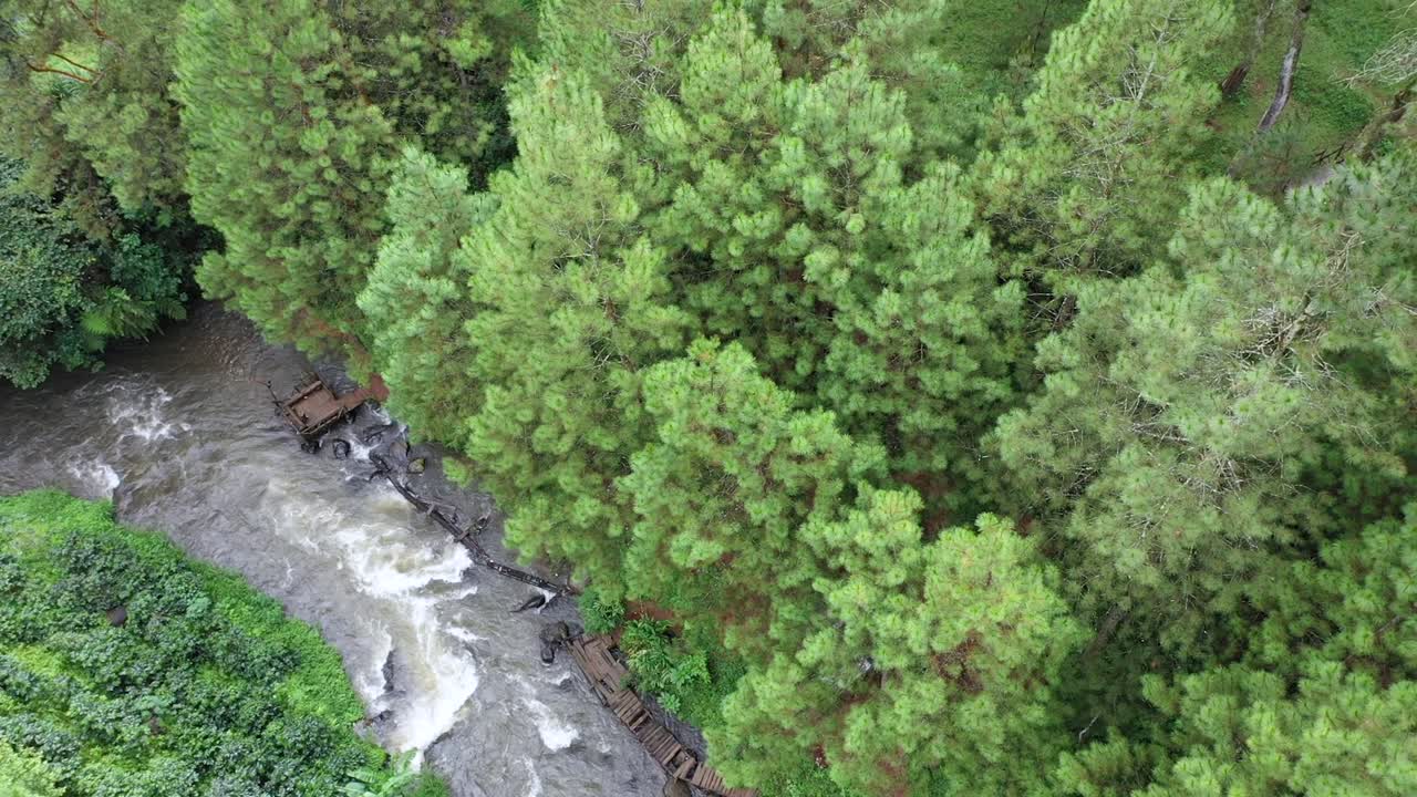 agua del río dentro del denso bosque de árboles de dosel verde, avión no tripulado en el paisaje natural