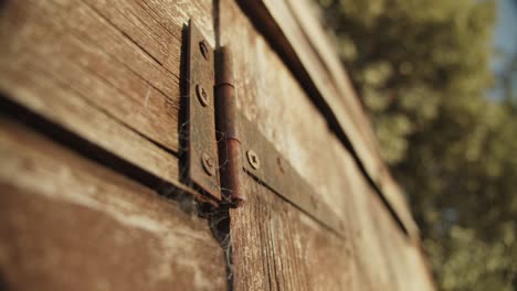 a rusty hinge covered in spiders web, on an old wooden shed door, next to a tree