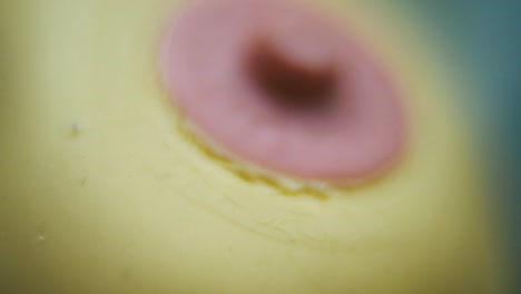 macro hyper close up shot of a silicone nipple, baby equipment, health care, full hd , push in crane movement