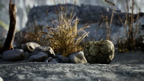 An-old-torn-soccer-ball-thrown-lies-on-sand-of-sea-beach