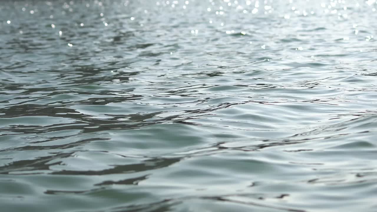 바가 또는 연못의 물의 표면을 가게 물어보십시오. loopable 비디오.