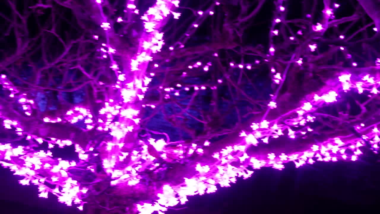 A slow pan of bright pink neon led lights on a tree at night in art exhibition