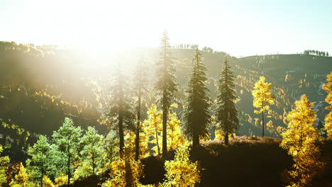 Mountain-valley-with-pine-forest-against-the-distant-ridges