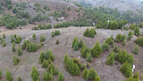 Dschungelansicht,-Die-Drohne-Fliegt-über-Eine-Landschaft-Mit-Dichten,-Grünen,-Waldbedeckten-Bergen,-Luftaufnahme-Von-üppigen-Grünen-Waldbergen,-Dschungelansicht