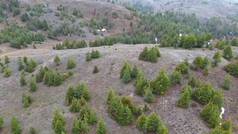 jungle view, the drone flies over a landscape of dense, verdant forest-covered mountains, aerial view of lush green forest mountains, jungle view