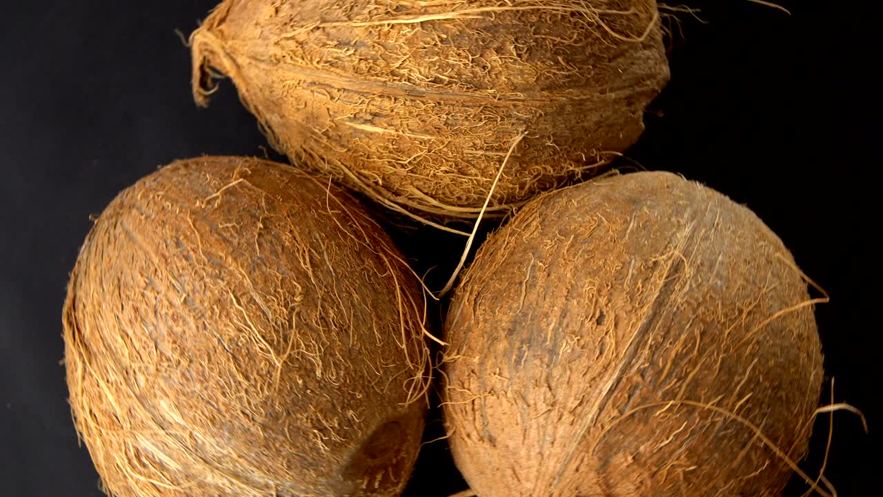 tres cocos tropicales marrones maduros girando sobre un fondo negro. frutas y alimentos tropicales. en bucle