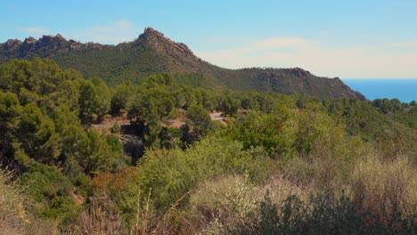 Aufnahme-Des-Naturparks-Las-Palmas-Mit-Blick-Auf-Die-Nadeln-Des-Berges-Santa-Agueda-In-Der-Valencianischen-Gemeinschaft,-Spanien,-An-Einem-Sonnigen-Tag