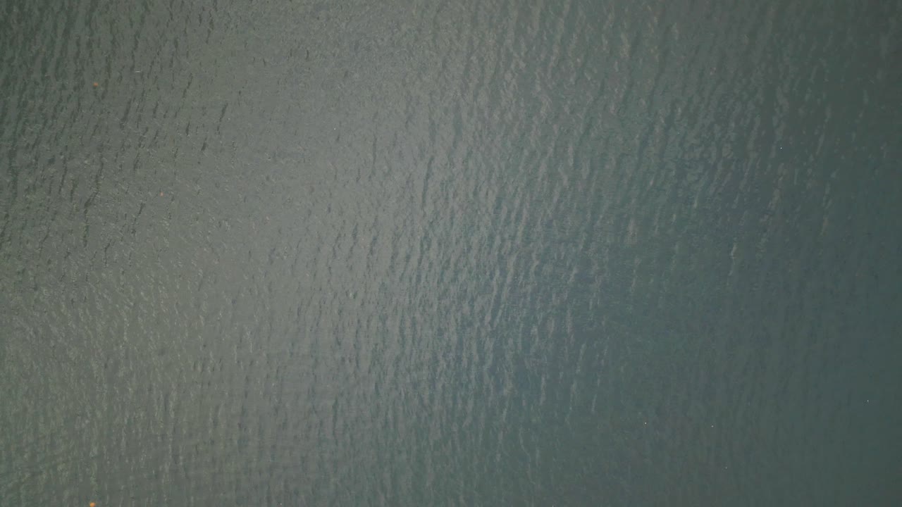 Lonely Seagull over water in Flensburg, Germany