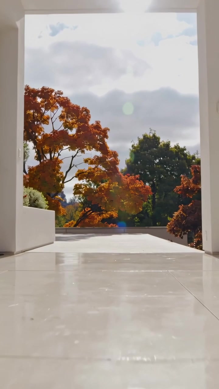 Vertical video: Moving camera showing glossy floor and doorway at home, revealing autumn trees