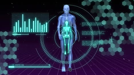 animation of data processing and scope scanning over skeleton walking