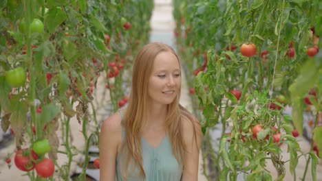 a beautiful young woman visits an eco-farm. she walks through the rows of tomatoes growing in a greenhouse. eco-products concept