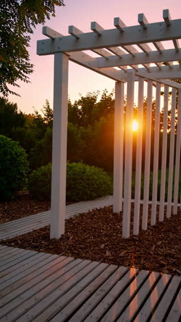 wooden pergola at sunset in a lush garden