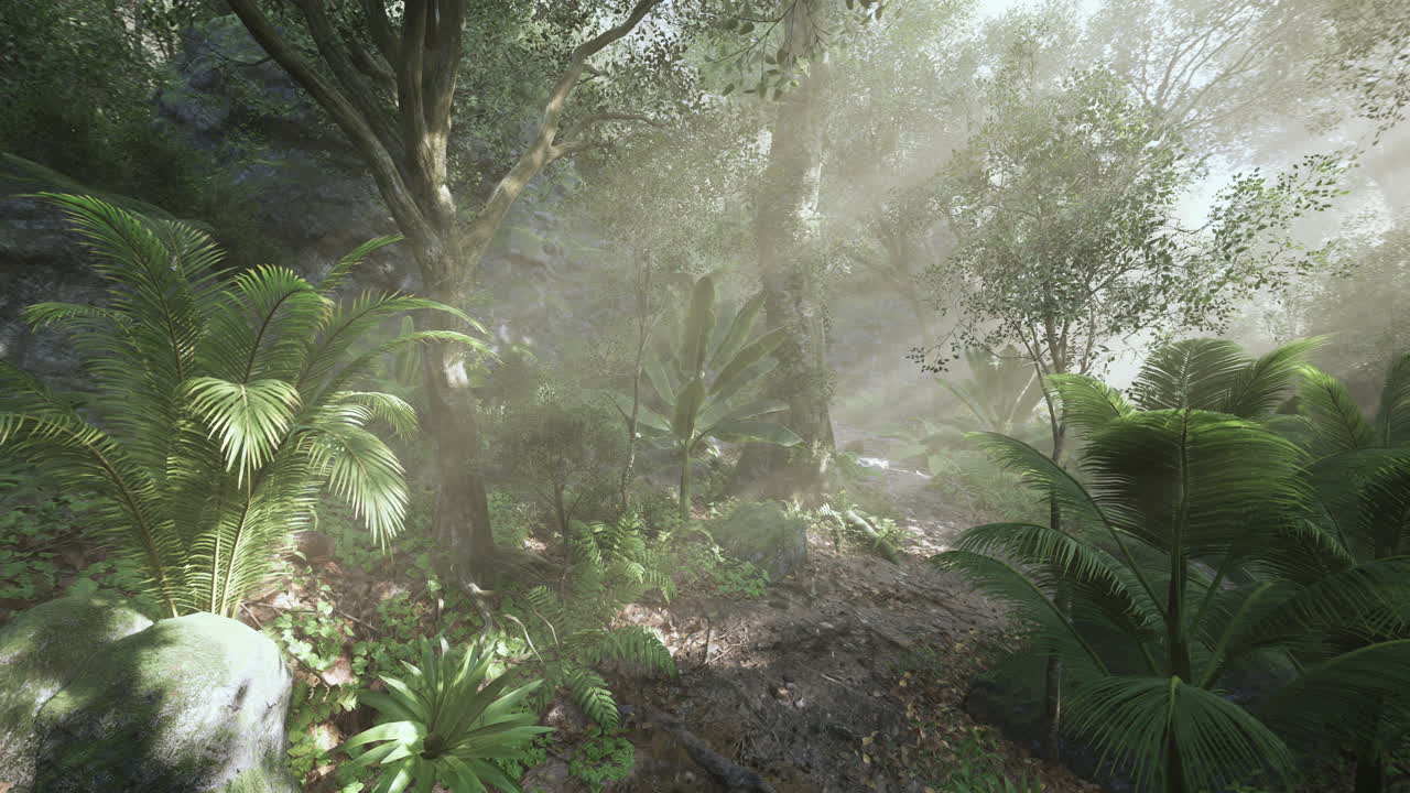 Lush tropical forest with sun rays illuminating the lush greenery
