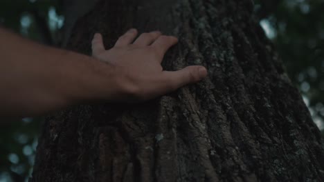 Concepto-De-Madre-Tierra,-árbol-De-Tronco-De-Caricia-Masculina-Caucásica-En-El-Bosque,-Salvar-Al-Planeta-Asumiendo-La-Responsabilidad