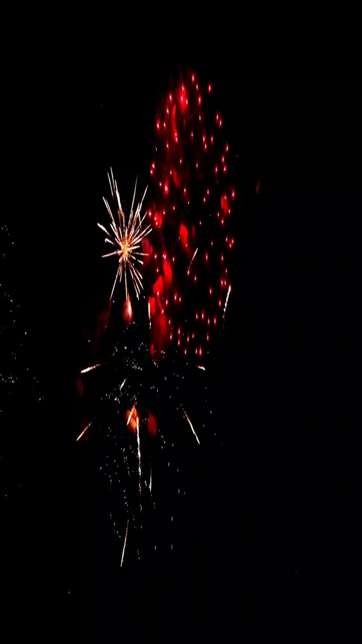 I fuochi d'artificio colorati esplodono nel cielo notturno buio