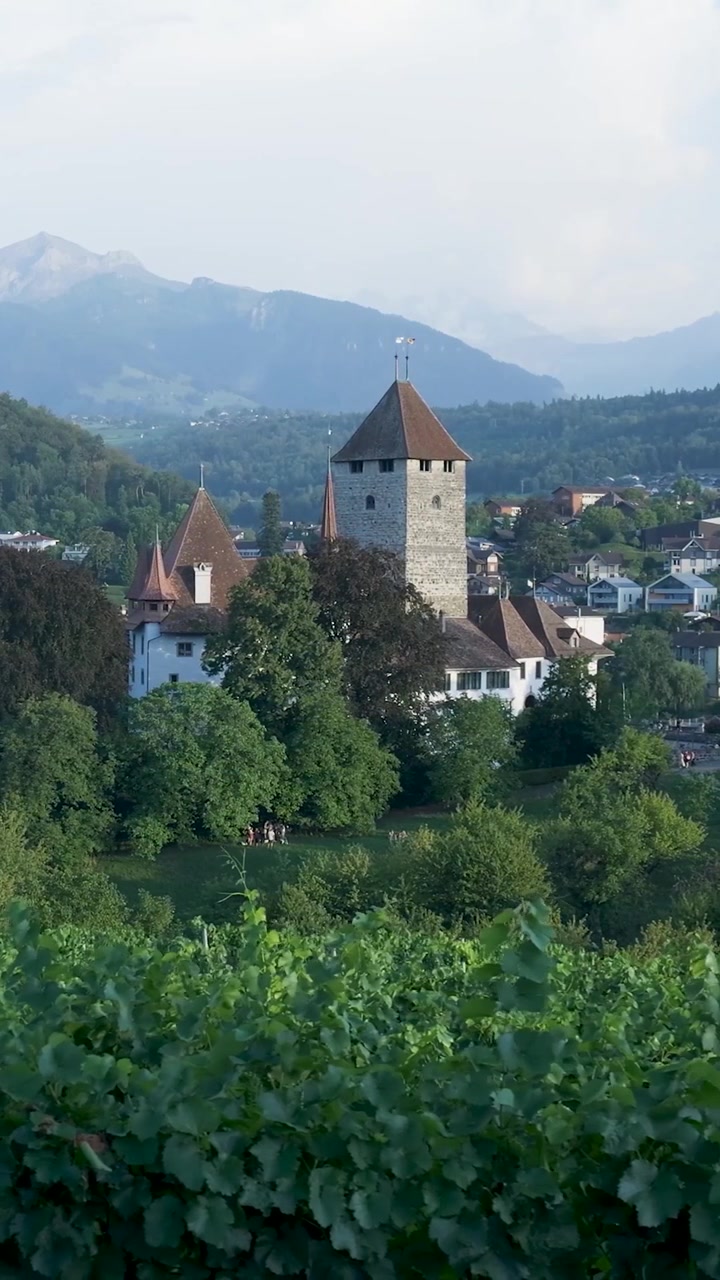 Torre di un castello storico che si affaccia su un rigoglioso vigneto in Svizzera