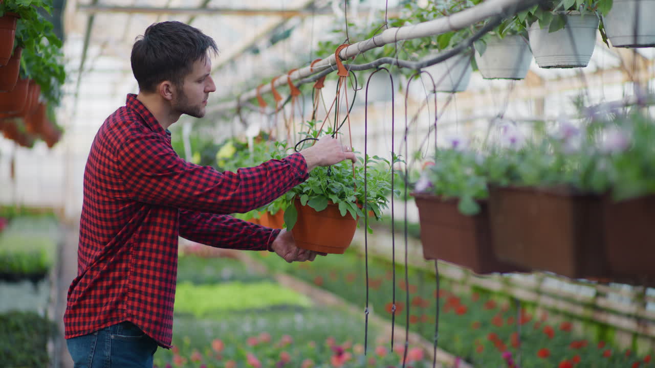 Farm Owner Checks Flower Pot Irrigation System