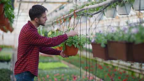 farm owner checks flower pot irrigation system