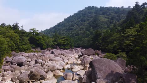 rocky valley and stream through yakushima island, japan