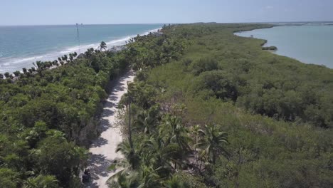 Car-driving-a-jungle-road-on-narrow-peninsula