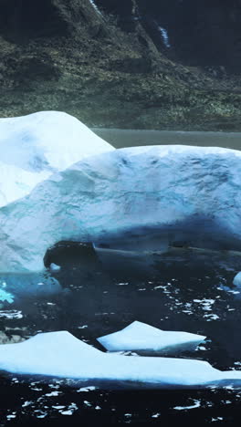 large iceberg in arctic waters