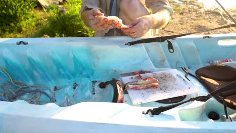 a close up of a man pulling fillets off a flathead fish in australia on his kayak