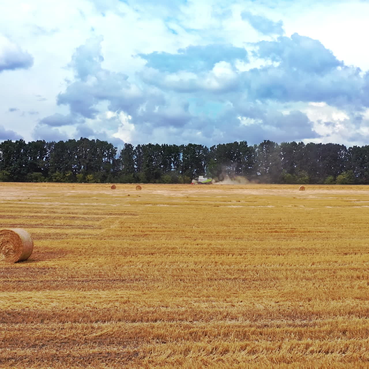 Harvesting dried grass. Agricultural works on the field in the countryside. Tractor is baling hay in summer. Many bales laying in farmland. Camera moves back.