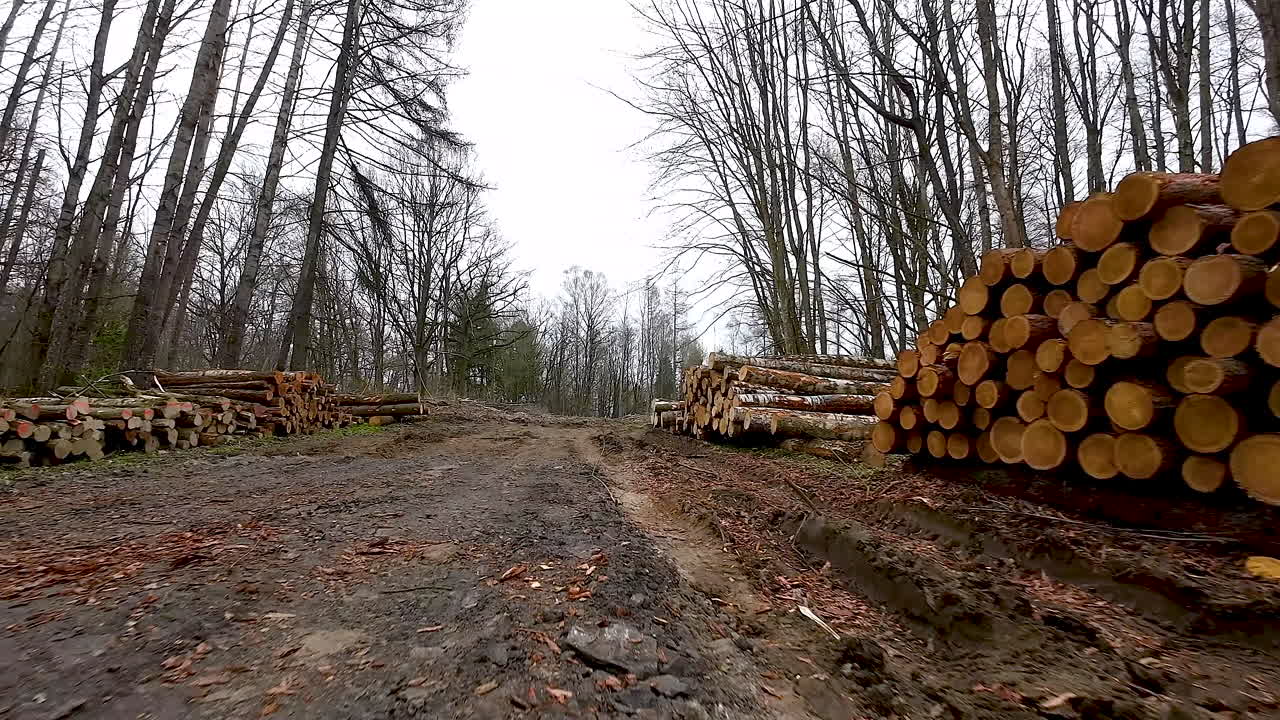 vuelo aéreo sobre bosque cortado deforestación industria maderera, corte de madera de árboles naturales