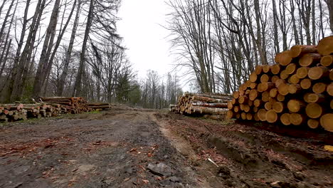 Luftflug-über-Kahlschlagwald,-Abholzung-Der-Holzindustrie,-Naturbaumholzschnitt