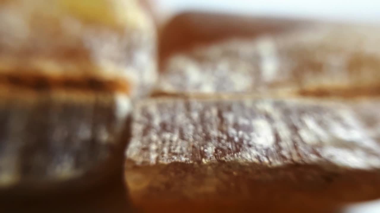 belemnits fosilizados en blanco. primer plano macro foto de estudio-8