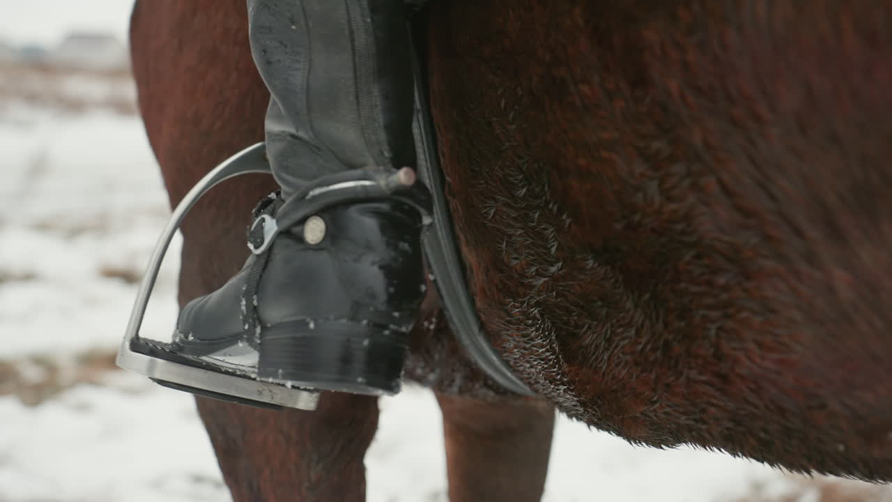 Primo piano sul piede di un cavaliere caucasico che si inserisce delicatamente nella staffa, con finimenti in cuoio e staffa metallica. Fiocchi di neve sullo stivale e sul fianco del cavallo, regolazione precisa della fibbia, attenzione alla calzatura e alla stabilità durante la cavalcata invernale.