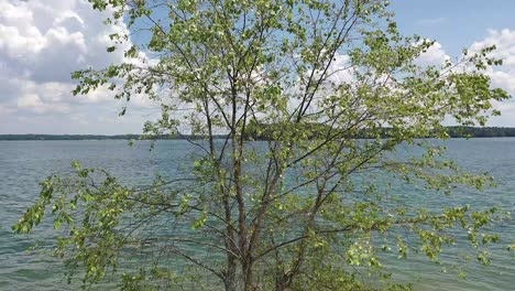 Beautiful-day-at-Lake-Lanier-in-Cumming,-Georgia