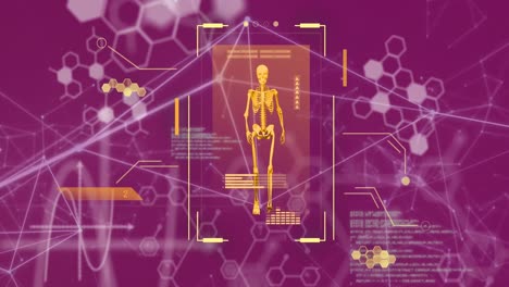 animación de escaneo del cuerpo humano y procesamiento de datos científicos