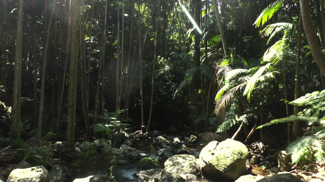 호주의 울창한 열대 숲에 있는 바위에 앉아 있는 소녀