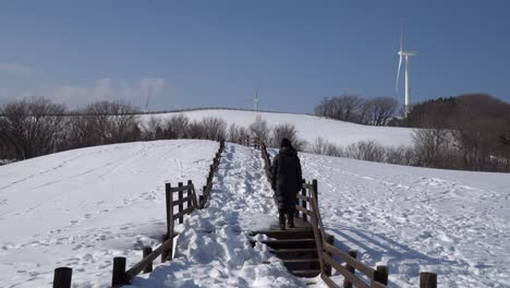 a woman takes a walk on a winter mountain slope along the stairs